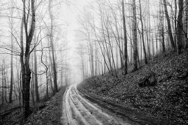 scary road